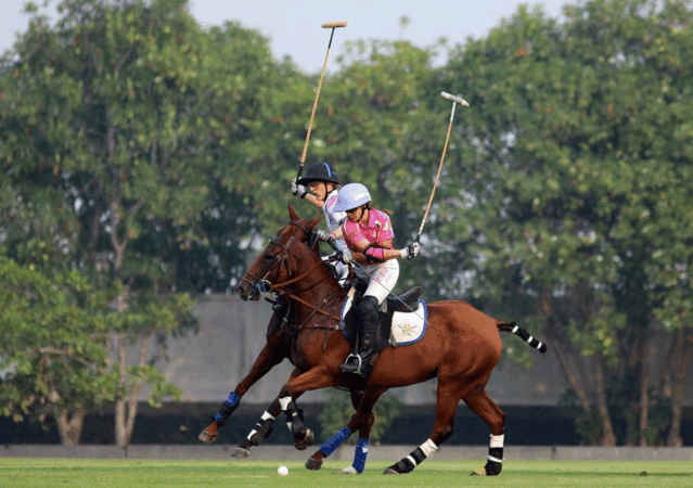 calculadora bônus líquido